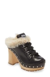 Miu Miu Genuine Shearling Lined Hiker Clog In Nero
