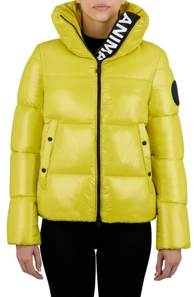 Save The Duck Isla Water Repellent Puffer Jacket In 50026 Citronella Gree