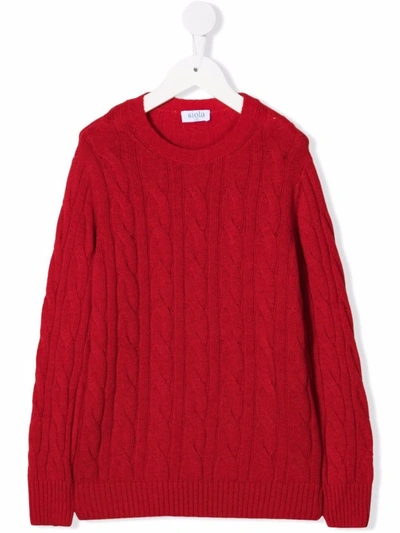 Siola Kids' Cable-knit Jumper In Red