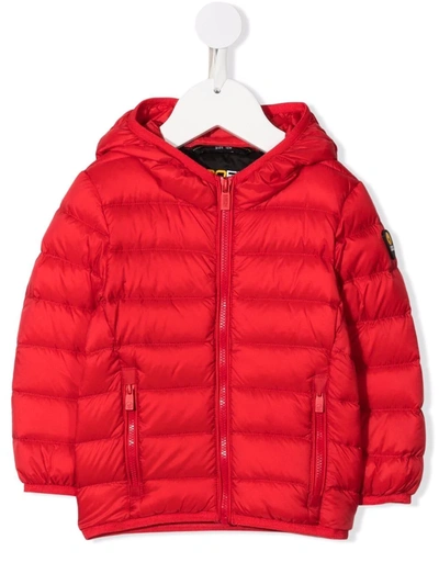 Ciesse Piumini Junior Babies' Hooded Puffer Coat In Red