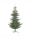 Vickerman 6' Alberta Spruce Artificial Christmas Tree Unlit