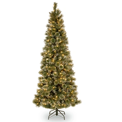 National Tree Company National Tree 6.5' Glittery Bristle Slim Pine Tree With White Cones And 400 Clear Lights In Green
