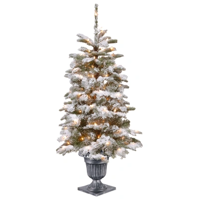 National Tree Company 4' Feel Real Snowy Camden Entrance Tree In Silver Brushed Urn With 100 Clear Lights In Green