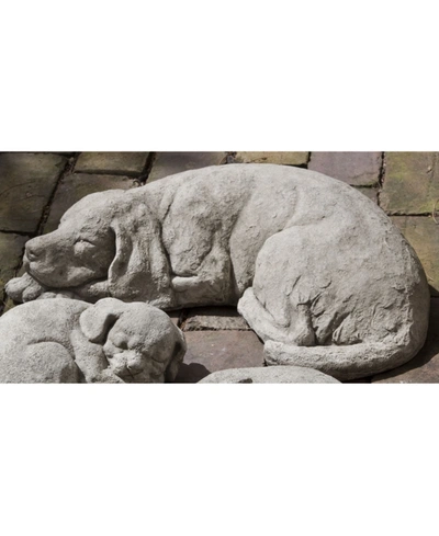 Campania International Reclining Dog Garden Statue In Rust