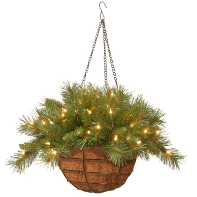 National Tree Company National Tree 20" Tiffany Fir Hanging Basket With Battery Operated Warm White Led Lights In Green