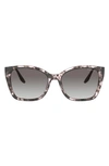 Prada 54mm Gradient Cat Eye Sunglasses In Orchid Tortoise/ Grey Gradient