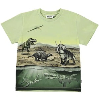 Molo Kids' Dino Earth Organic Cotton T-shirt In Green