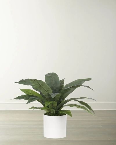 Ndi Faux Bird Nest Fern Plant In White Ceramic Planter
