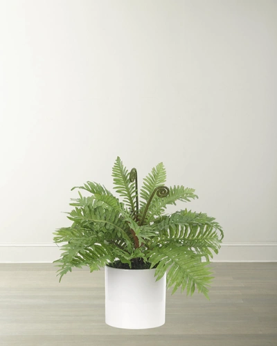Ndi Faux Fern In White Ceramic Cylinder