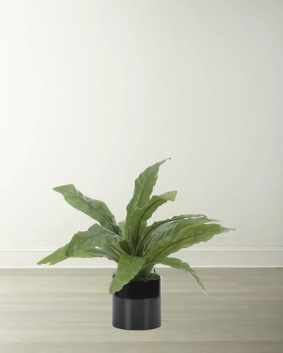 Ndi Faux Bird Nest Fern Plant In Black Ceramic Planter