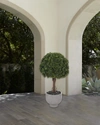 Ndi Faux Boxwood Ball Topiary Plant In Concrete Planter, 40"t