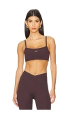 437 Active The Padded Micro Bra In Espresso