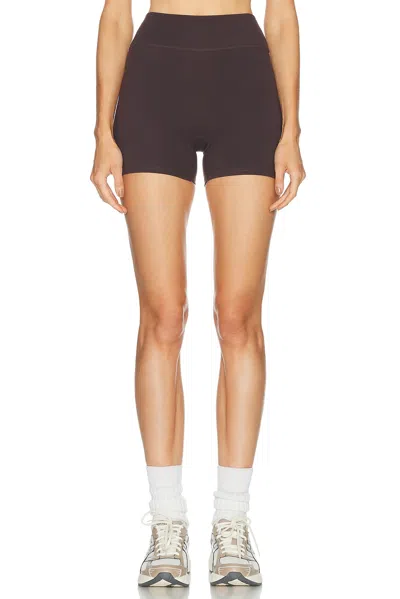 437 The Essentials Short In Multi