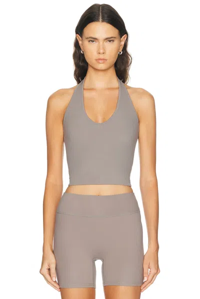 437 The Halter Tank Top In Gray