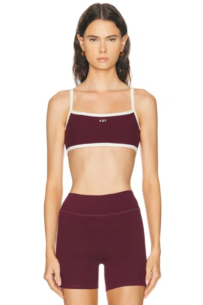 437 The Micro Bra In Burgundy