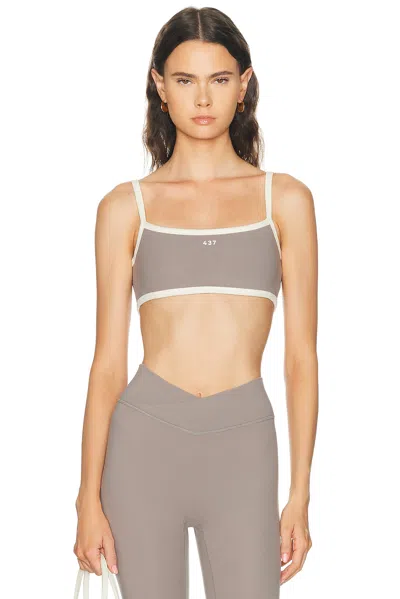 437 The Micro Bra In Gray