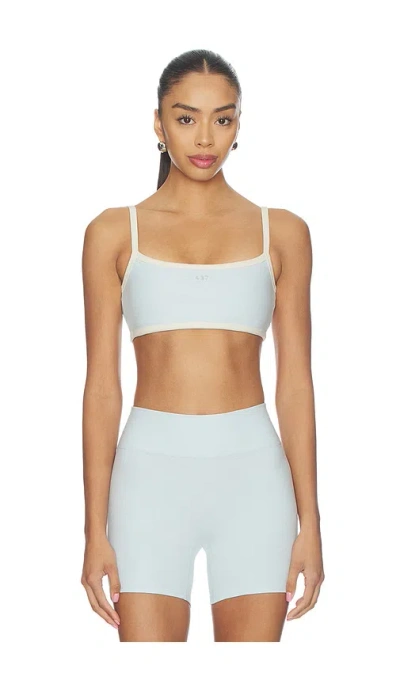 437 The Micro Bra In Multi
