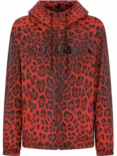 Dolce & Gabbana Leopard Print Polyamide Jacket In Leo Nero Frosso