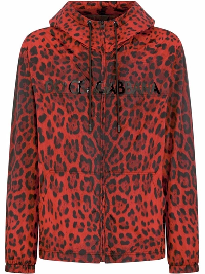 Dolce & Gabbana Men's Leopard Wind-resistant Hooded Jacket In Leo Nero Frosso