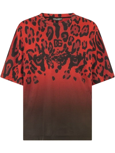 Dolce & Gabbana Leopard-print Logo-print T-shirt In Red