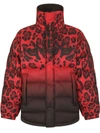 DOLCE & GABBANA REVERSIBLE ANIMAL-PRINT PUFFER COAT