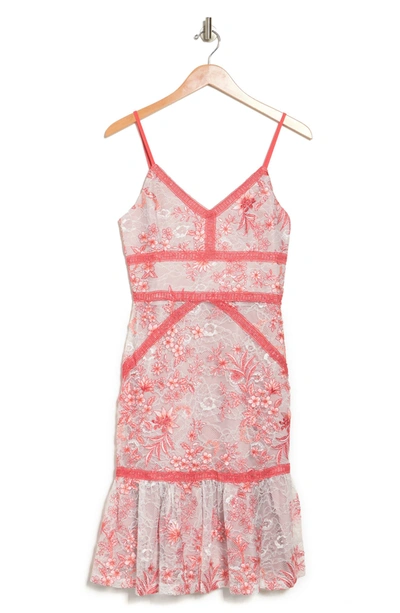 Adelyn Rae Miran Fit & Flare Lace Dress In White-coral