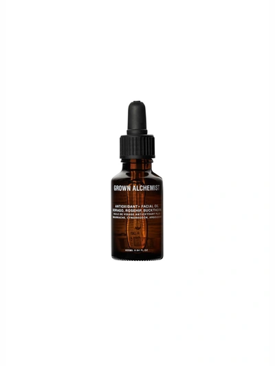 Grown Alchemist Anti Oxidant Facial Oil 25ml In Brown