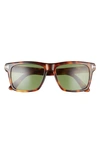 TOM FORD BUCKLEY-02 56MM SQUARE SUNGLASSES,FT0906M5653N