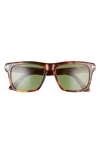 Tom Ford Buckley-02 56mm Square Sunglasses In Havana/ Green