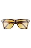 Tom Ford Buckley-02 56mm Square Sunglasses In Havana/ Brown