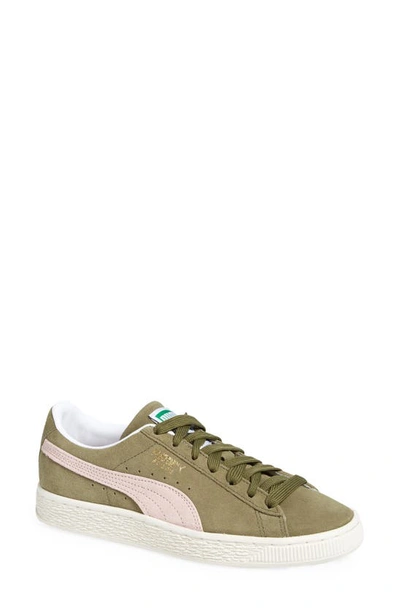 Puma Suede Classic Xxi Sneaker In Burnt Olive-lotus-marshmallow