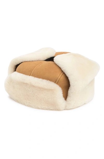 Ugg Suede Genuine Shearling Trapper Hat In Chestnut