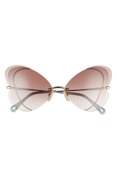 Chloé 65mm Butterfly Sunglasses In Gold Gold Brown