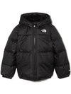 The North Face Hooded Puffer Jacket In Black