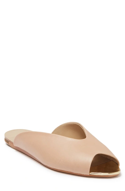 Donna Karan Zuzu Slide Sandal In Nude