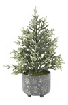 Flora Bunda 18.5" Frosted Christmas Tree In Grey