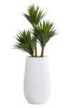 WILLOW ROW GREEN FAUX FOLIAGE DATE PALM ARTIFICIAL PLANT WITH WHITE FIBERGLASS POT