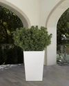 Ndi Faux Boxwood Plant In Tapered Rectangular Planter, 60"t