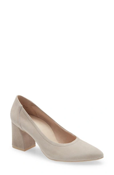 Paul Green Kami Pointed Toe Pump In Stone Suede