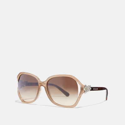 Coach Integration Flower Sunglasses In Brown