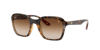Ray Ban Ray In Brown Gradient