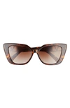 Valentino Vlogo 56mm Gradient Cat Eye Sunglasses In Havana