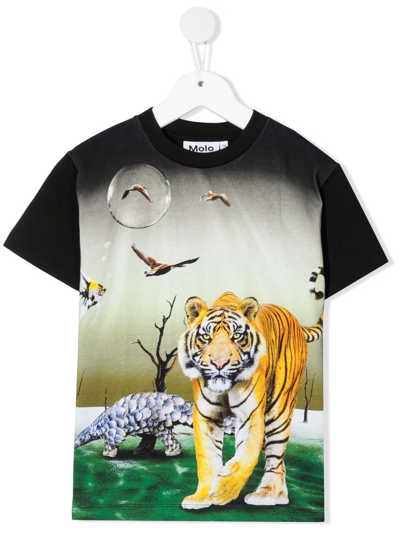 Molo Kids' Tiger Print Organic Cotton T-shirt In Green