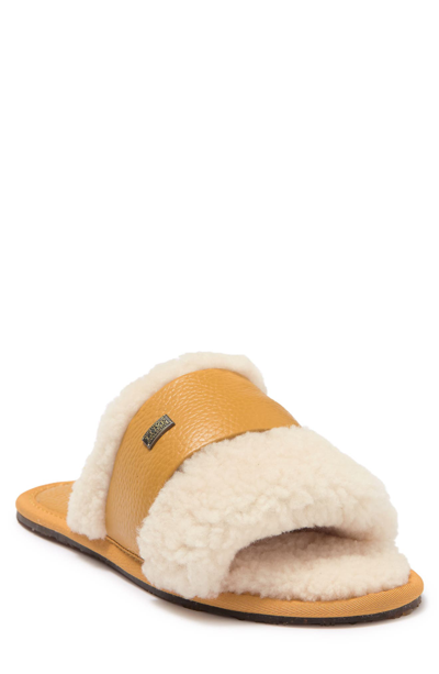 Australia Luxe Collective Muchas Leather-trimmed Shearling Slippers In Saddle