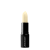 Antipodes Kiwi Seed Oil Lip Conditioner 4g