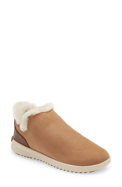 Olukai Malua Hulu Genuine Shearling Slip-on Trainer In Tan/ Tapa