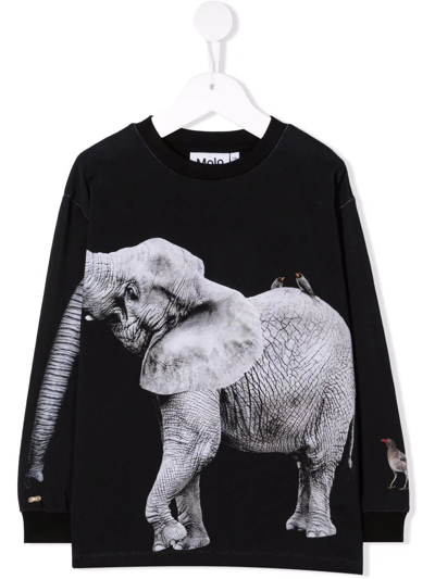 Molo Kids' Elephant-print Organic-cotton T-shirt In Black