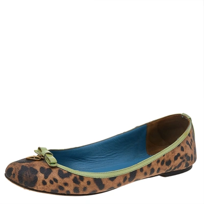 Pre-owned Dolce & Gabbana Brown/green Leopard Print Coated Canvas And Patent Leather Ballet Flats Size 40