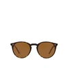 Oliver Peoples Ov5183s 362 / Horn Sunglasses In .
