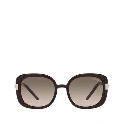 Prada Round Acetate Sunglasses In Brown